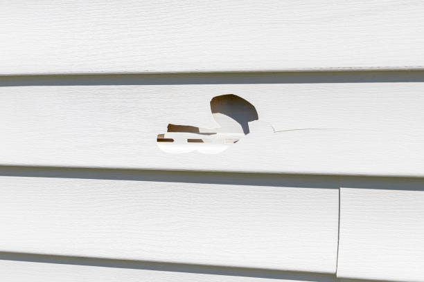 How To Choose The Right Materials for Your Siding Installation in 'Susquehanna Trails, PA